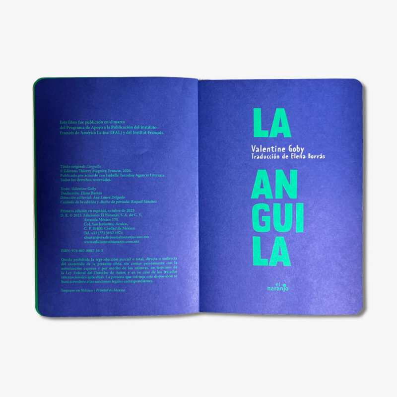 La Anguila - Image 5
