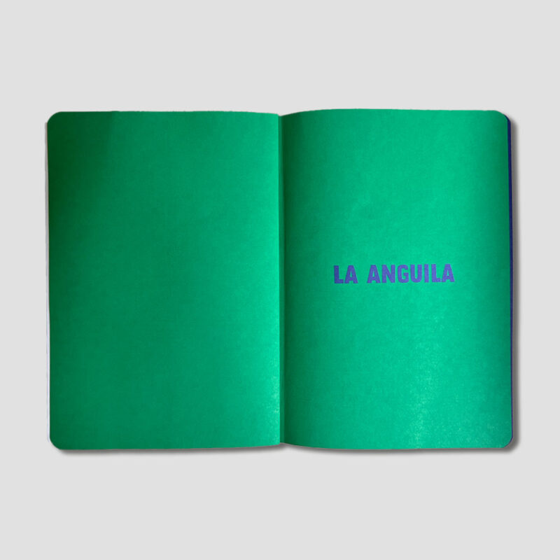 La Anguila - Image 6