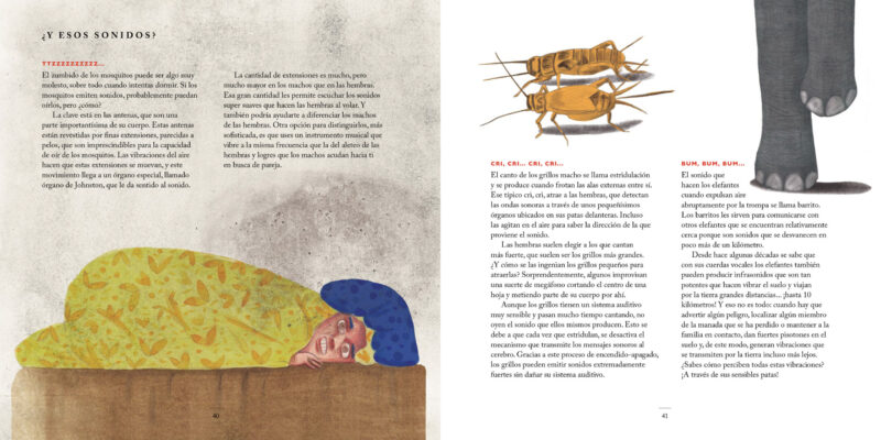 ¡Qué orejas tan curiosas tienes! - Image 5